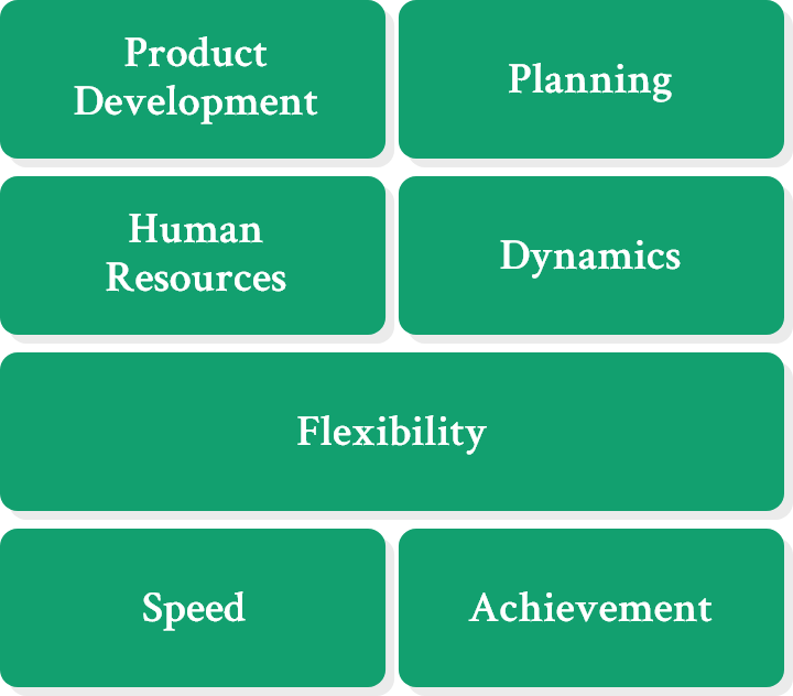 Product Development Planning Human Resources Dynamics Flexibility Speed Achievement